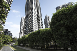 D'Leedon (D10), Condominium #177064922